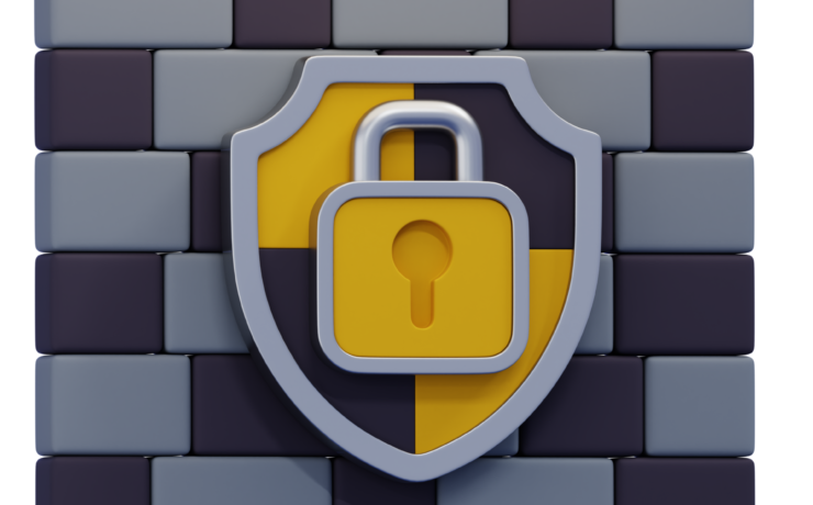 Illustration representing firewall and website security basics