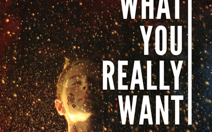 Get What You Really Want guide image