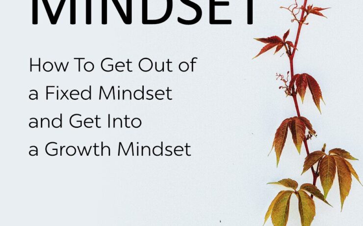 Growth Mindset: A Practical Guide guide image