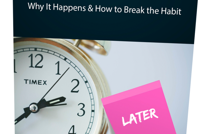 How to Stop Procrastinating and Start Before You Feel Ready supporting guide image