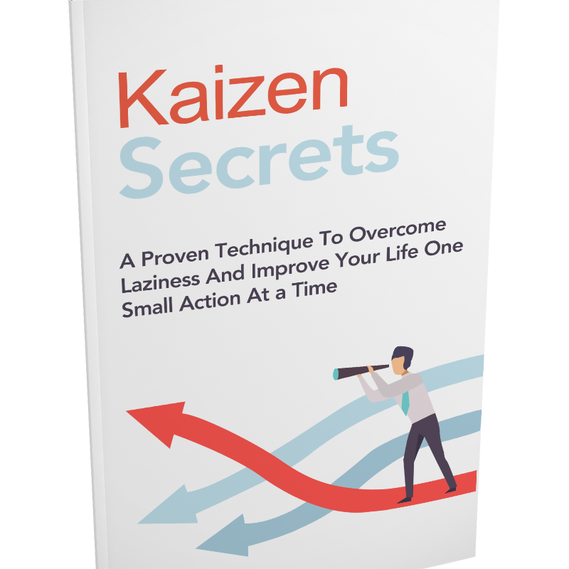 Kaizen Secrets: A Practical Guide guide image