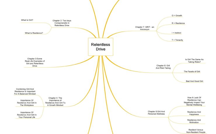 Relentless Drive: A Practical Guide guide image