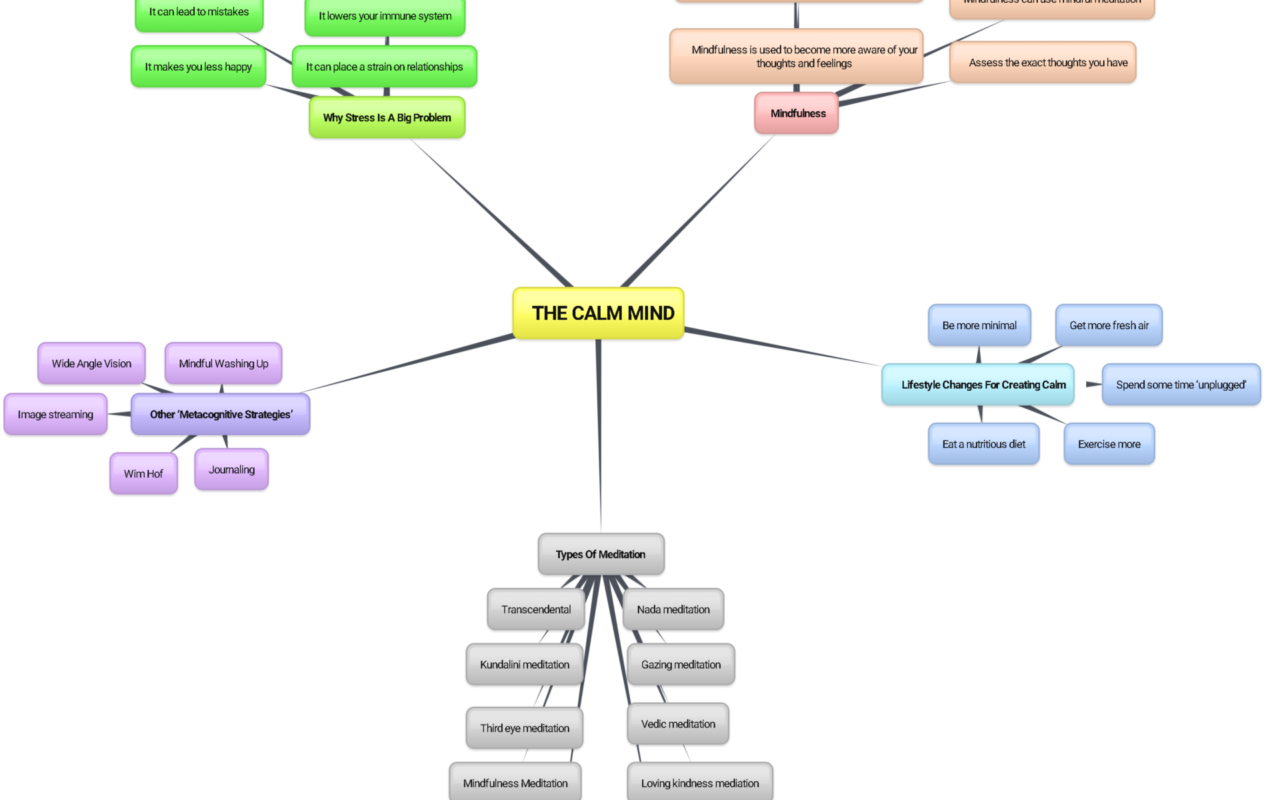 The Calm Mind: Build Stability in a Noisy World supporting guide image
