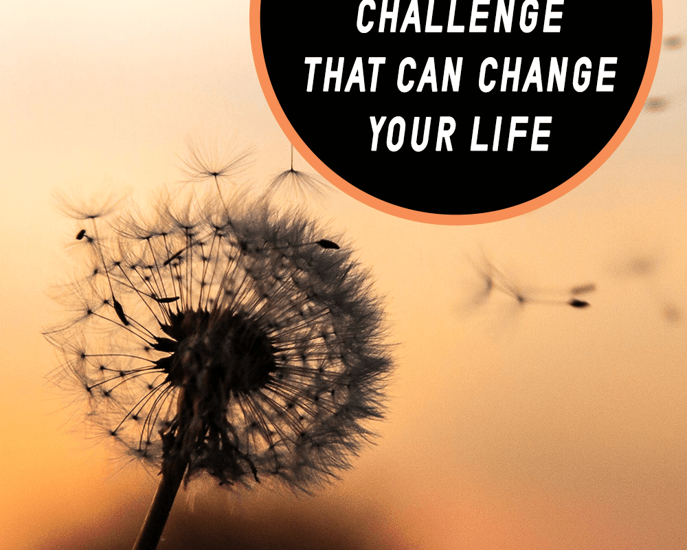 The Day Gratitude Challenge That Can Change your Life guide image