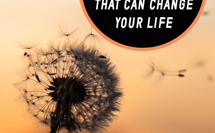 The Day Gratitude Challenge That Can Change your Life guide image