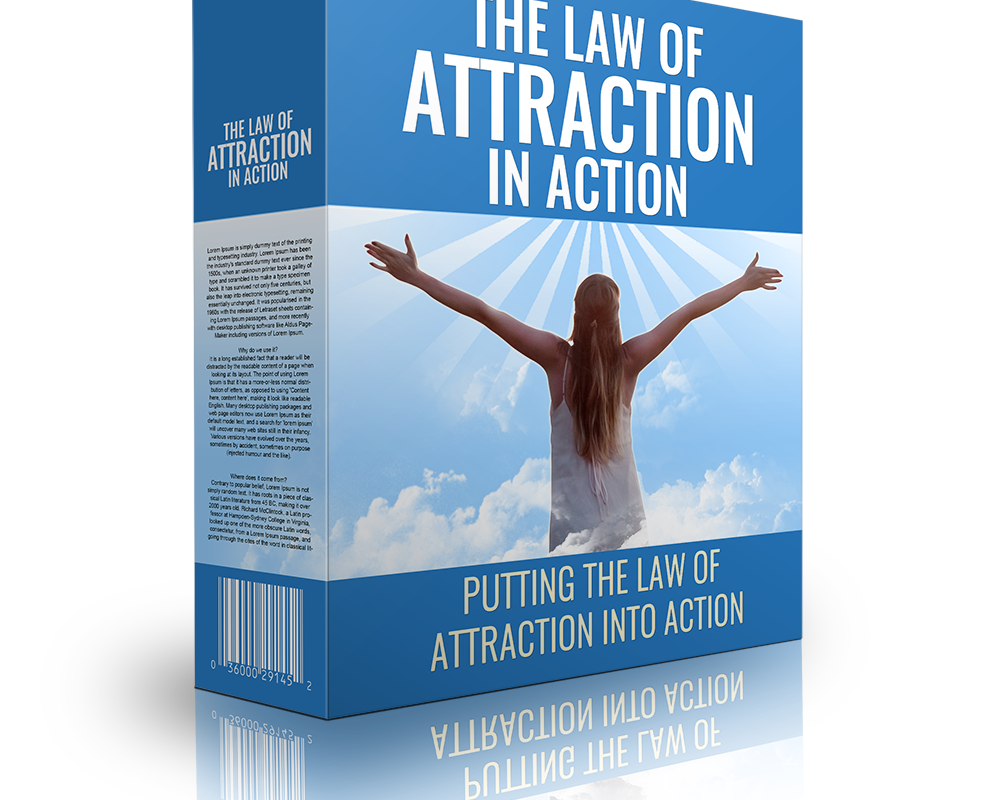 The Law of Attraction in Action: Pair Vision With Follow-Through guide cover image