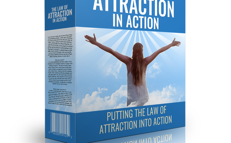 The Law of Attraction in Action: Pair Vision With Follow-Through guide cover image