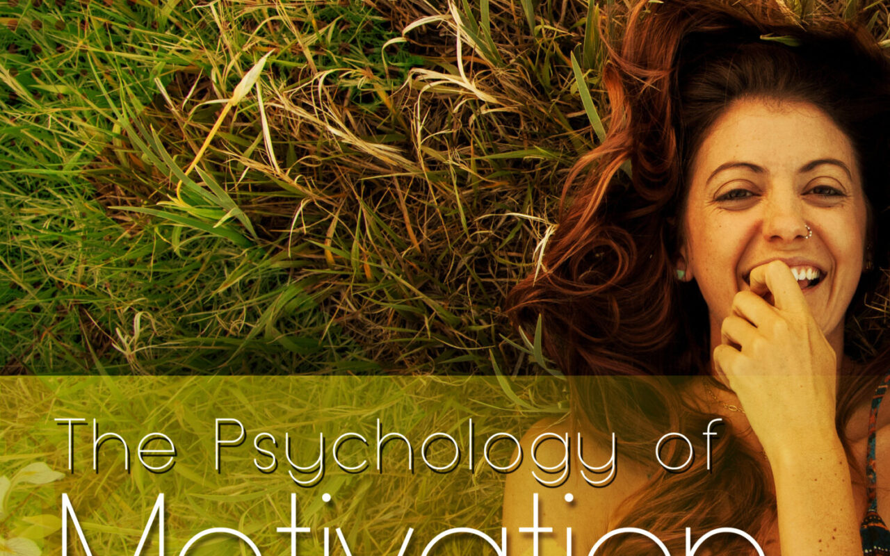 The Psychology of Motivation: Why You Start and Why You Stop guide image