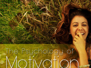 The Psychology of Motivation: Why You Start and Why You Stop guide image