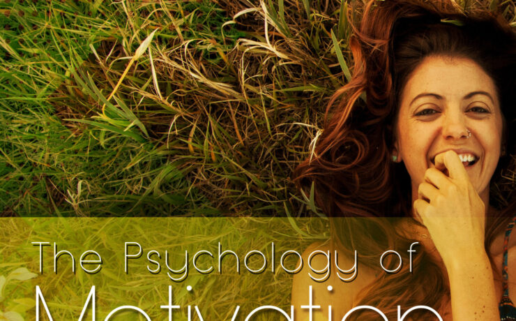 The Psychology of Motivation: Why You Start and Why You Stop guide image